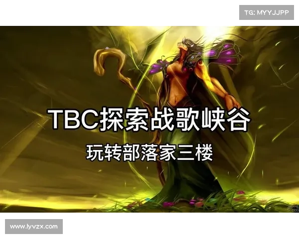 玩转魔兽世界：成为游戏高手